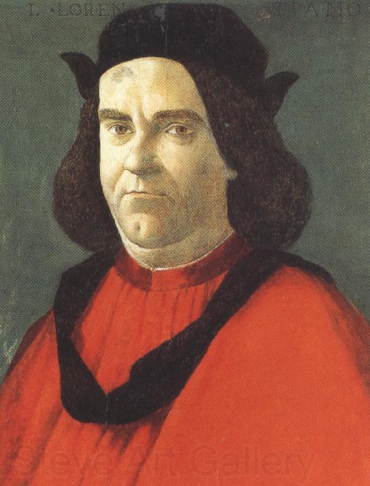 Sandro Botticelli Portrait of Lorenzo de'Lorenzi (mk36) France oil painting art